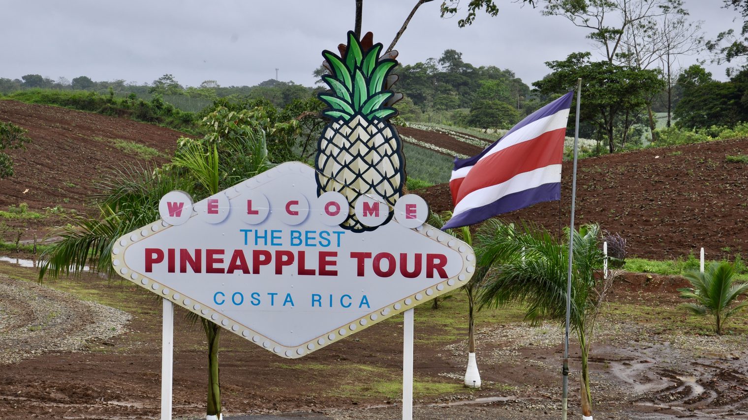 Sarapiquí
