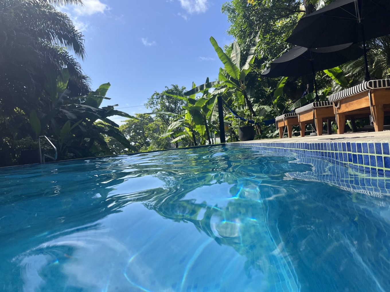 Foto aus Montezuma